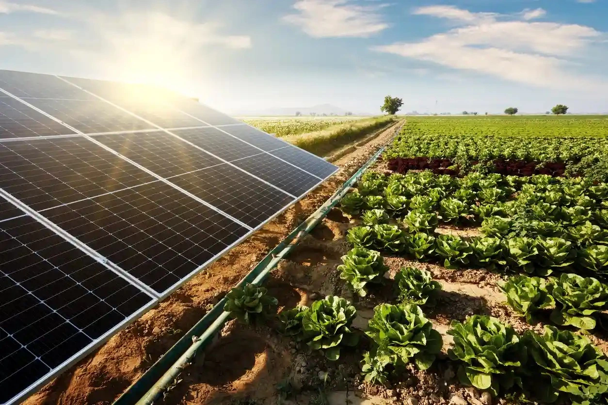Energia solar em propriedade rural